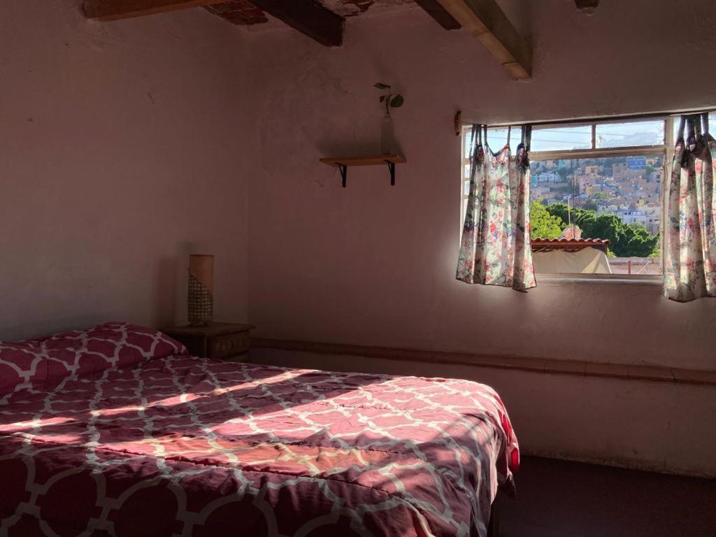 Hostalito Casa Alebrije Гуанахуато Екстериор снимка