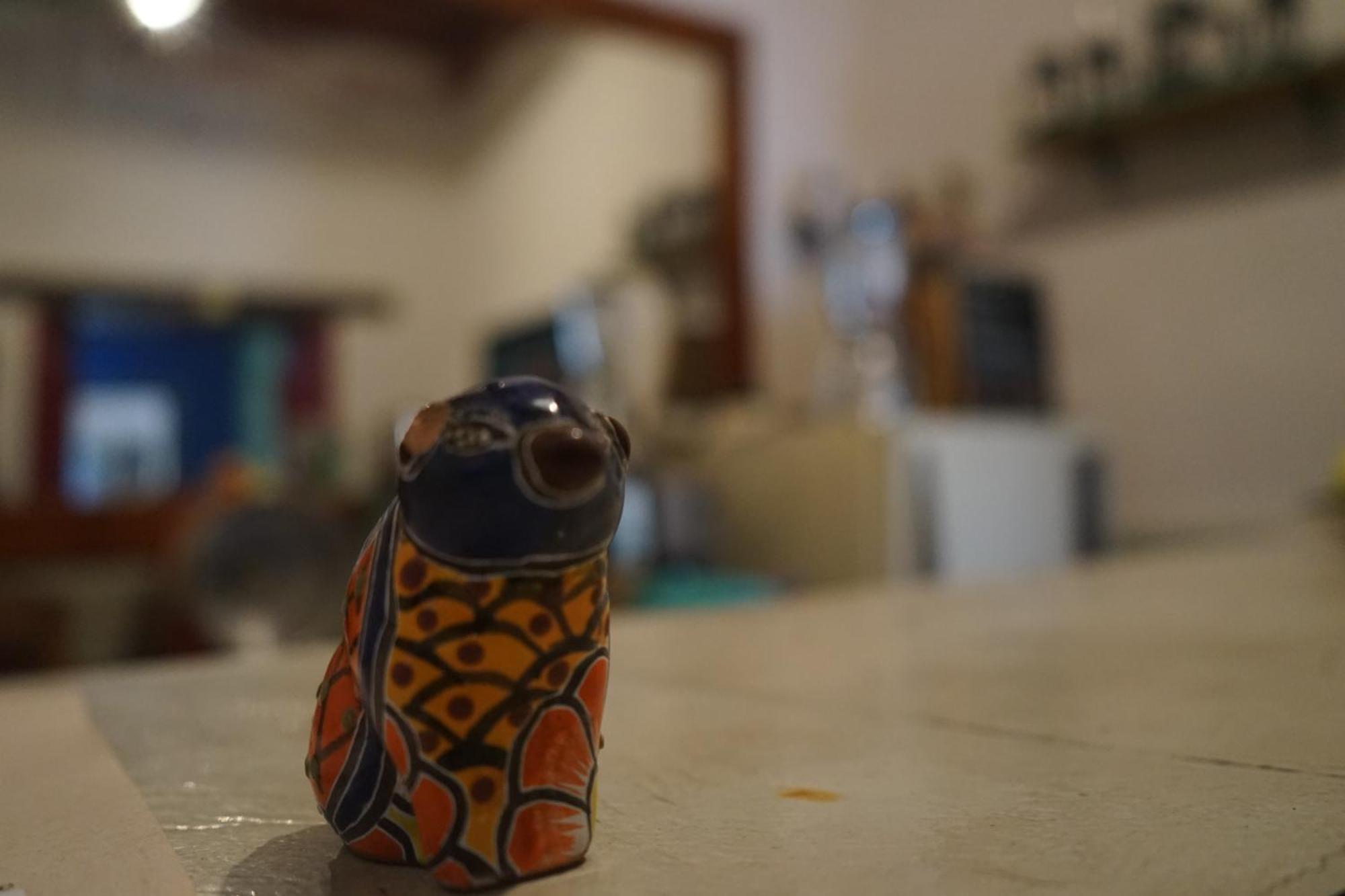 Hostalito Casa Alebrije Гуанахуато Екстериор снимка